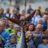 Offshore World Challenge – Poreč 2017 2